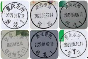 亚洲 久久久久久一二三区免费,久久久久久一二三区,探寻多元文化魅力