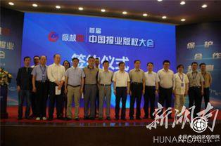 国产原创传媒有哪些,崛起与发展的时代篇章